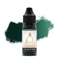 Пигмент Shine Juniper / Можжевельник